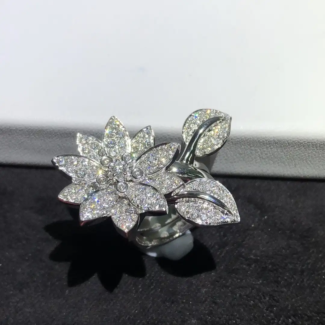 时尚必备！玫瑰金耳圈搭配指南，让你的耳朵闪耀迷人光彩