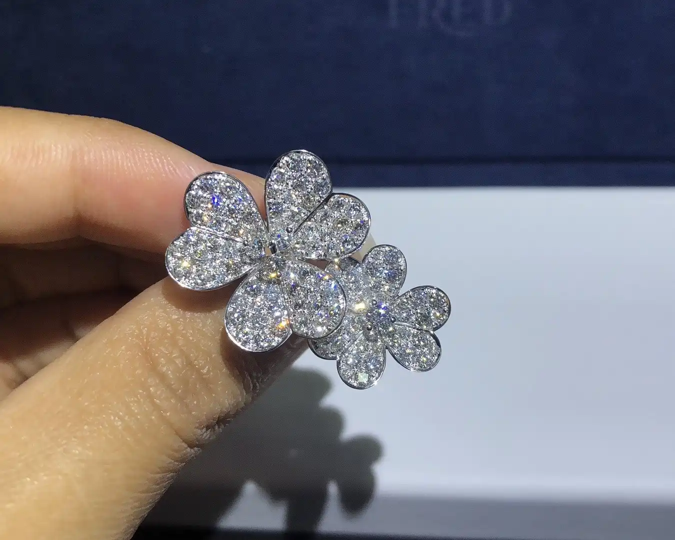 网红爆款推荐：玫瑰金耳钉，时尚潮流必备单品！